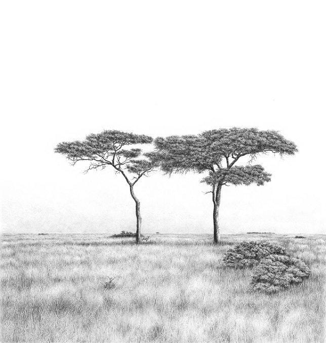 South African Limited Editions by Bowen Boshier - Treasure - Together - Fine Art Portfolio