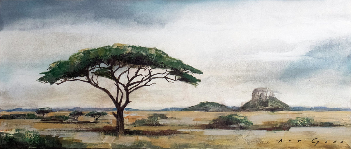 The Bushveld