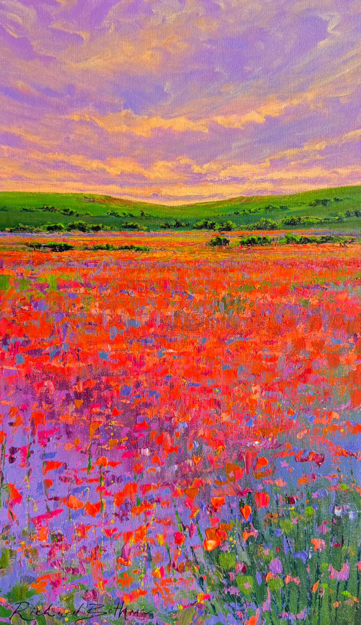 Namaqualand at Sunset