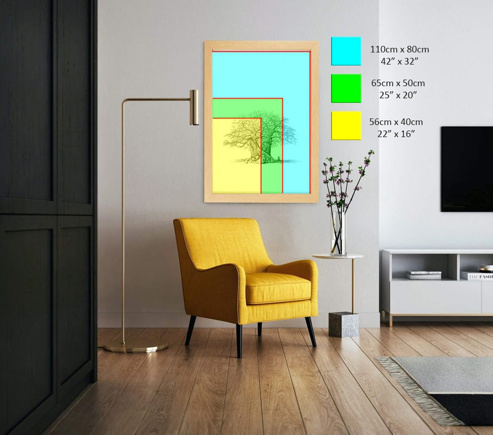 Baobab Tree - Still Life with Hornbill