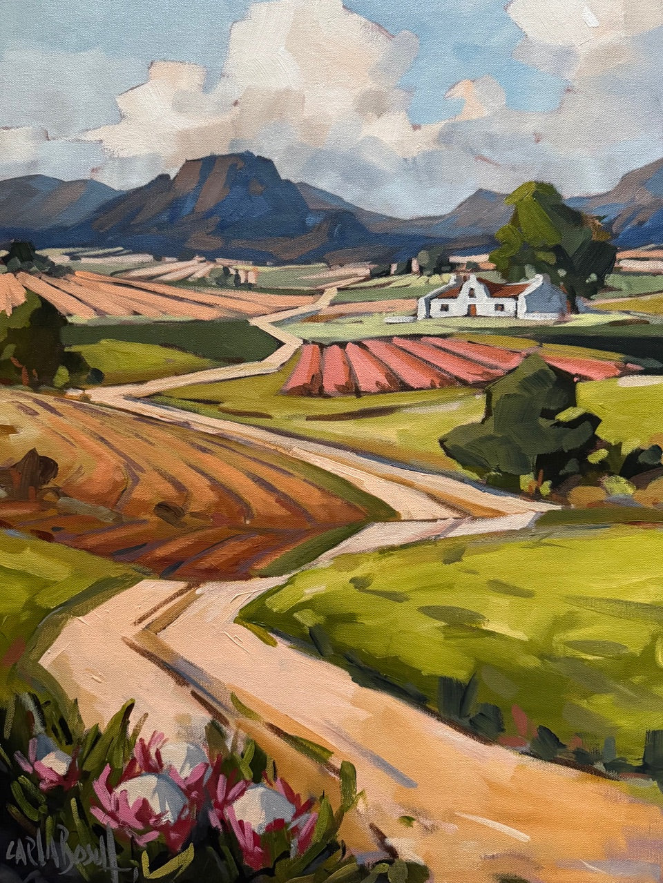 Wonders of the Earth