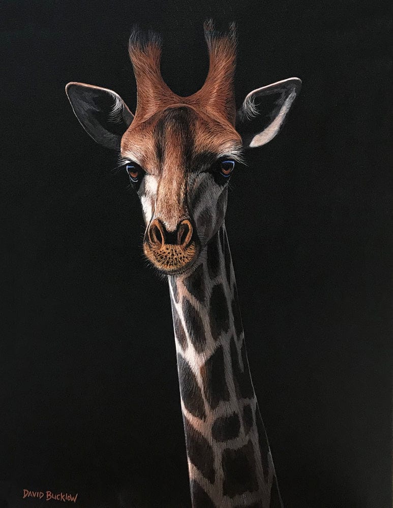 Gigantor the Giraffe