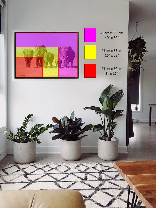 Herd on the Move | Elephants