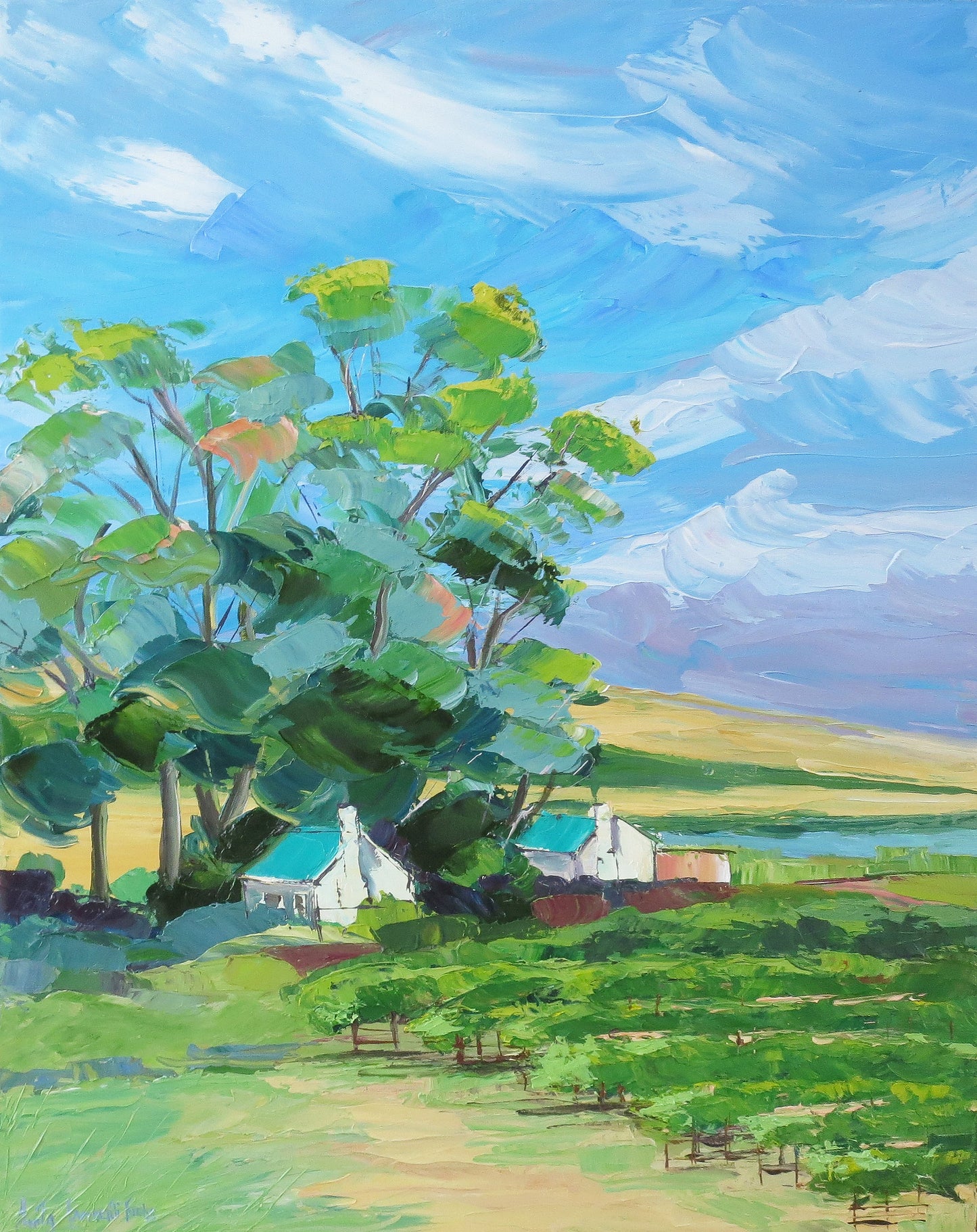 Durbanville Hills Vines