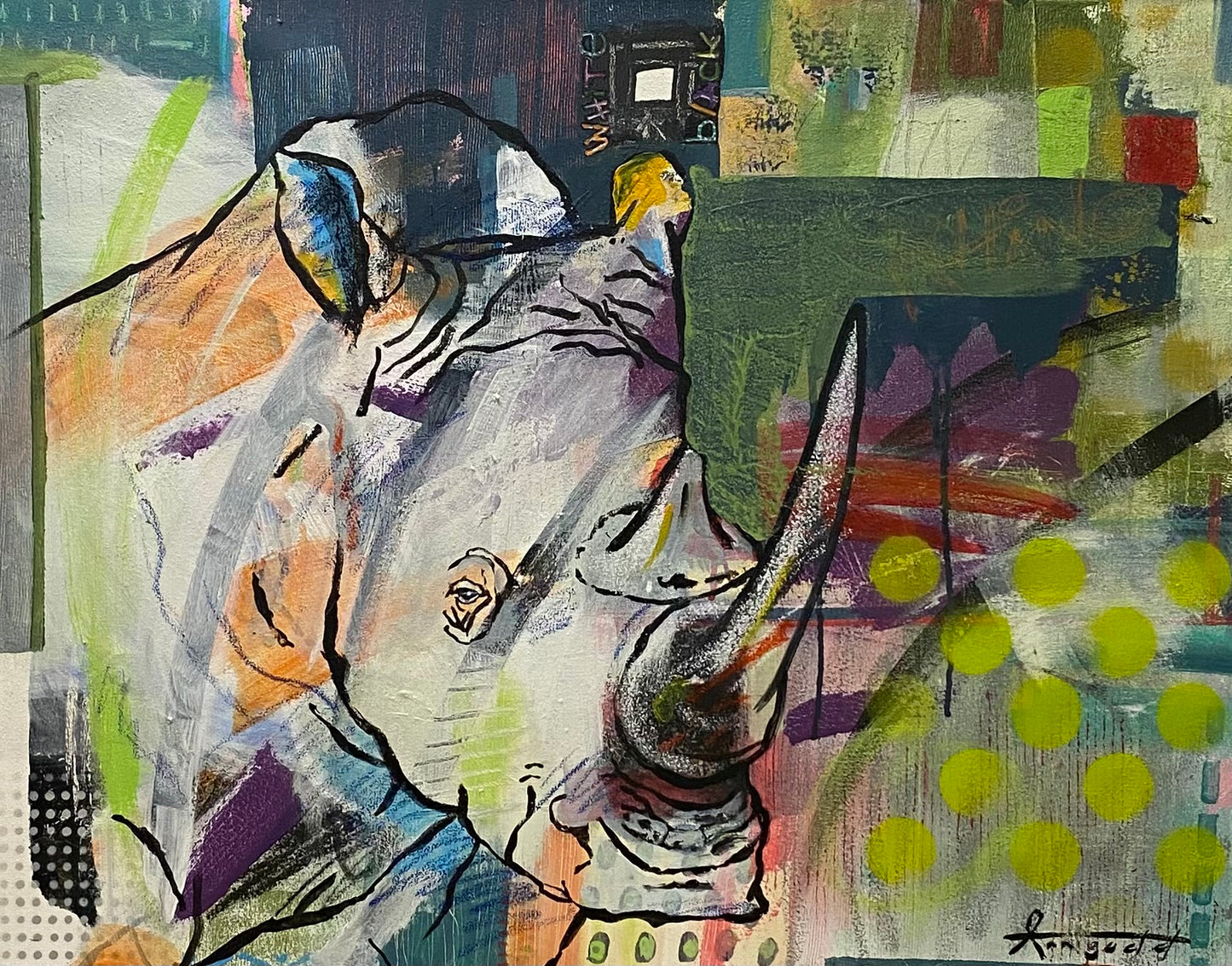 White Wild Rhino