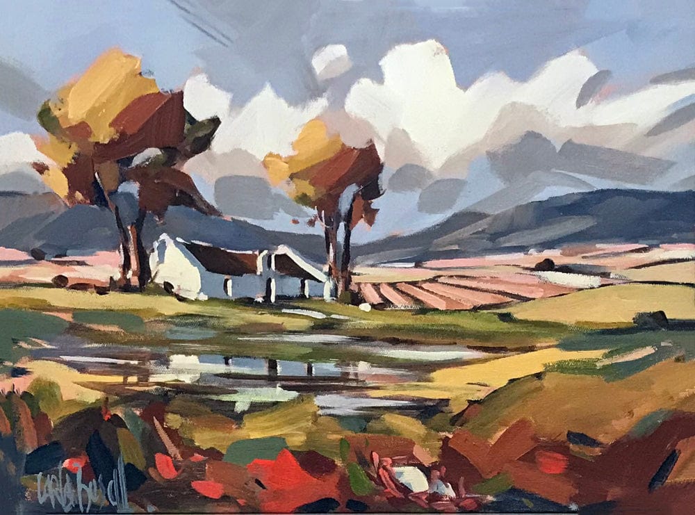 Cape Vineyards in Winter