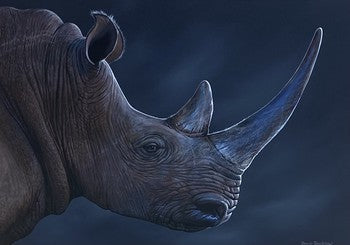 The Rhino