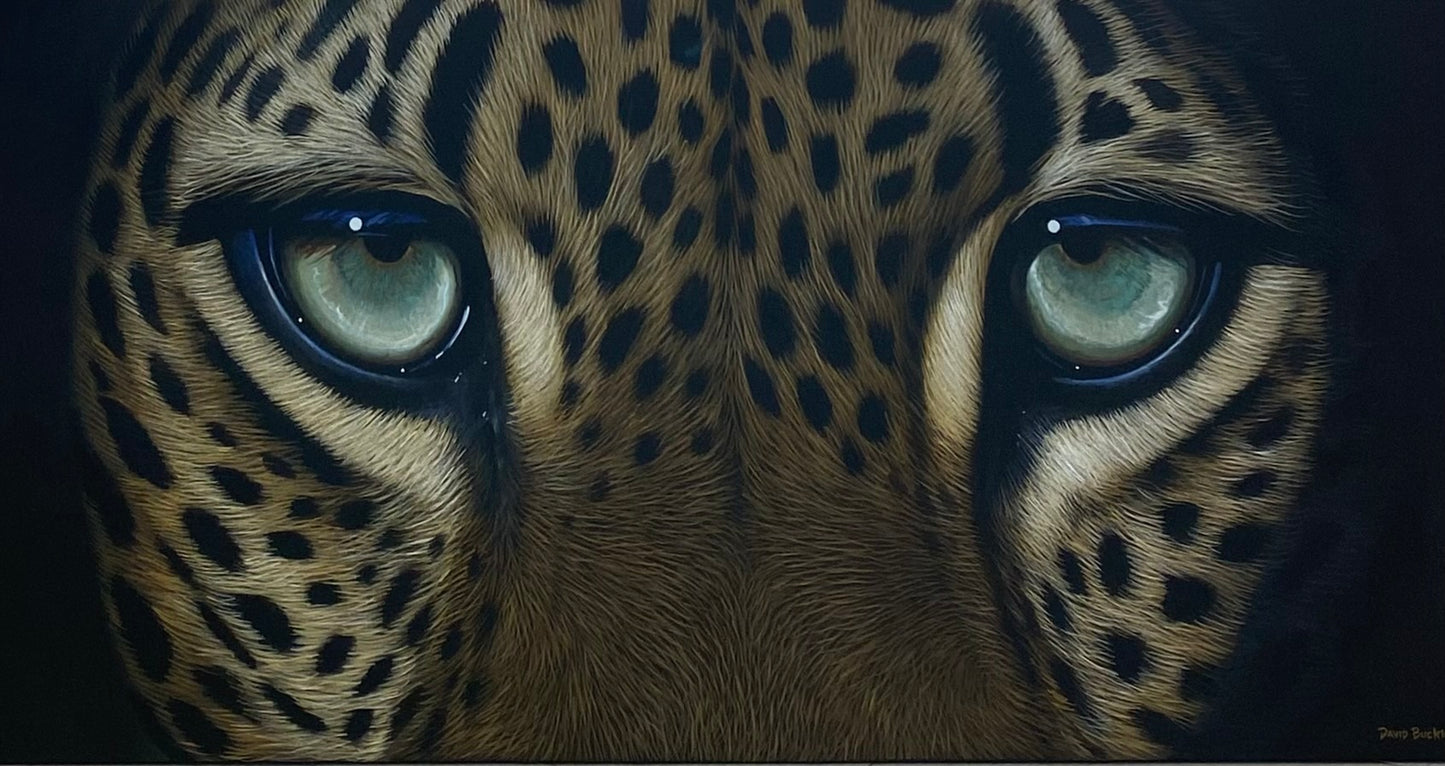 The Eyes