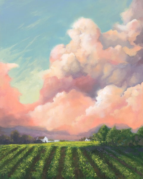 Vineyard Sunset