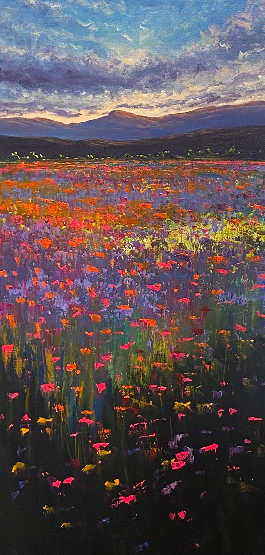 Dreaming in Colour I