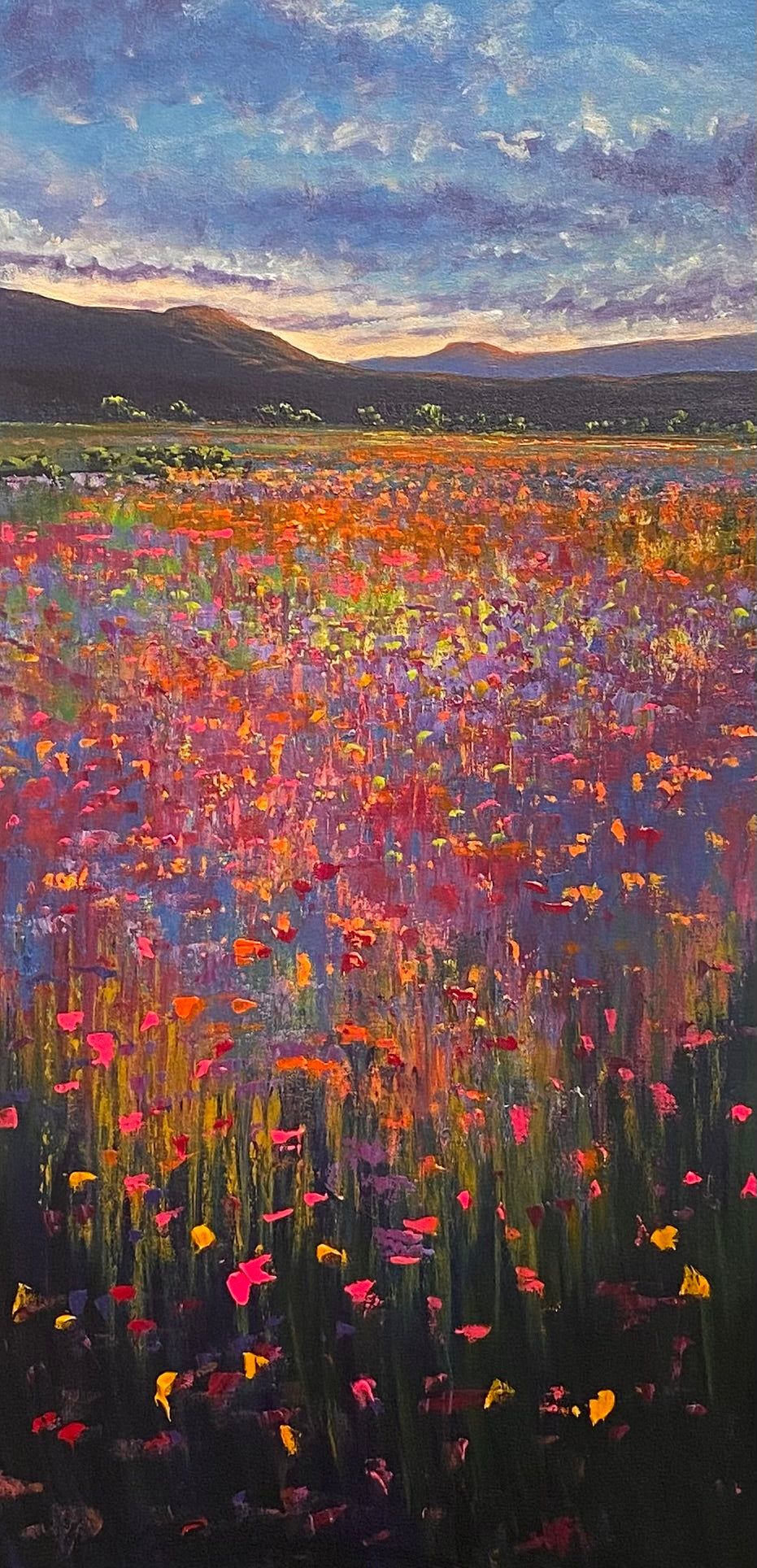 Dreaming in Colour II