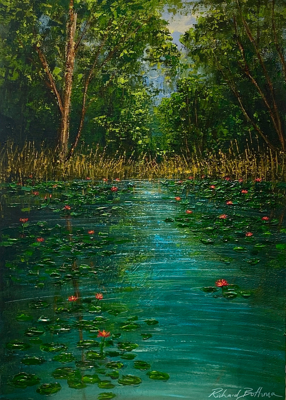 Lilies of the Forest