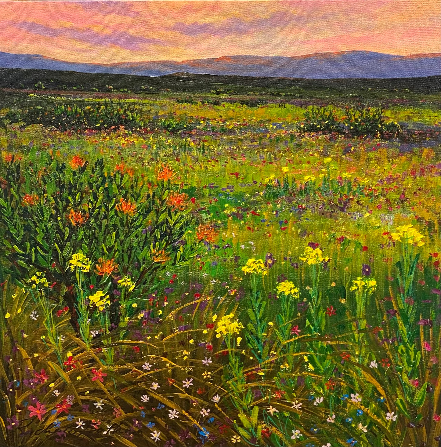 Wilderness Exploring