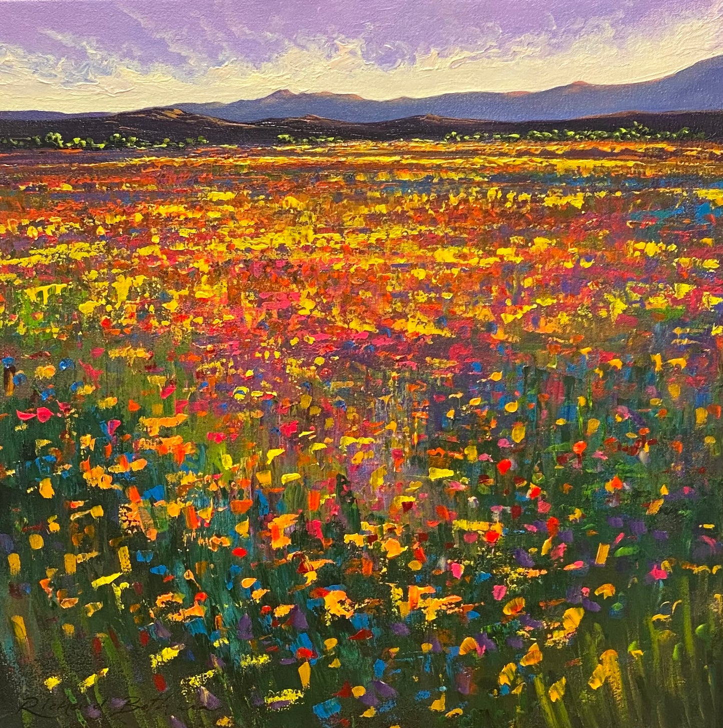 A Field of Golden Blooms