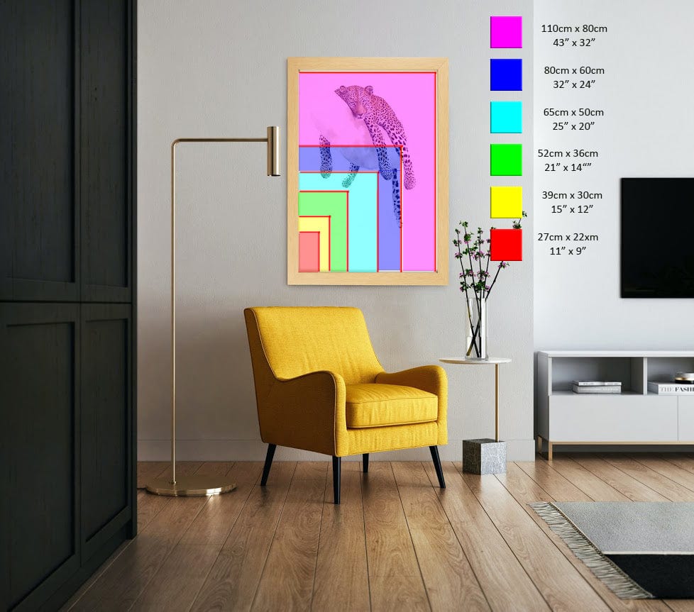 Eye of the Beholder | Leopard