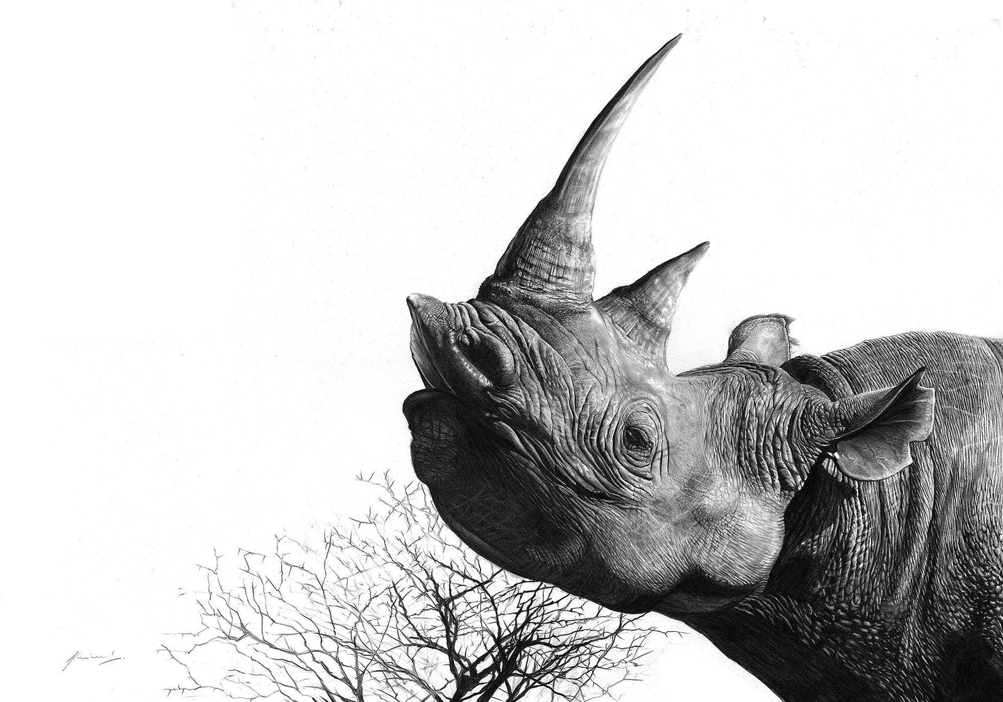 South African Limited Editions by Vincent Reid - Survivor - Fine Art Portfolio