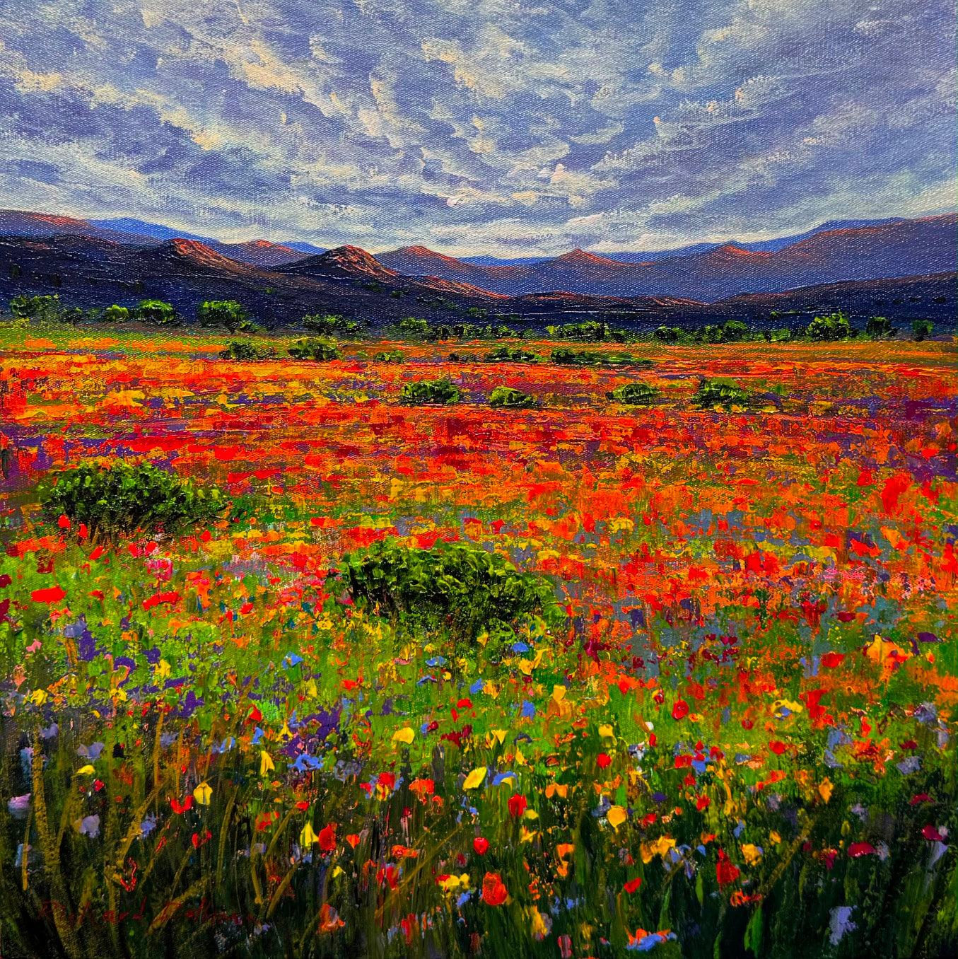 Landscape 1.26