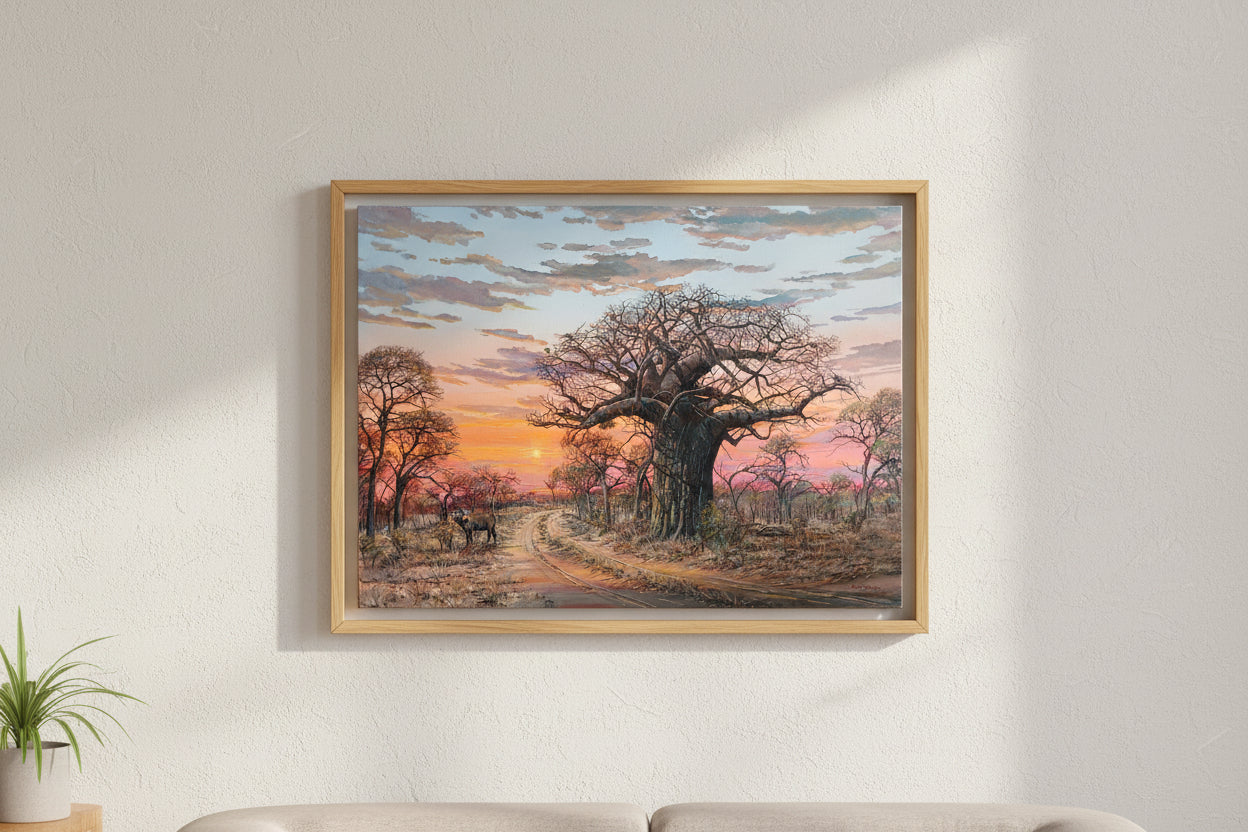 Buffalo and Baobab
