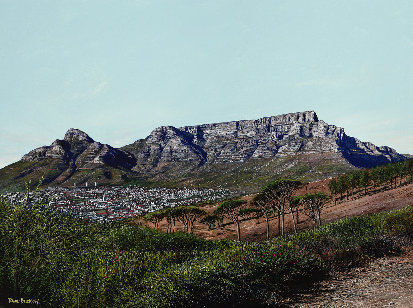 Cape Majestic