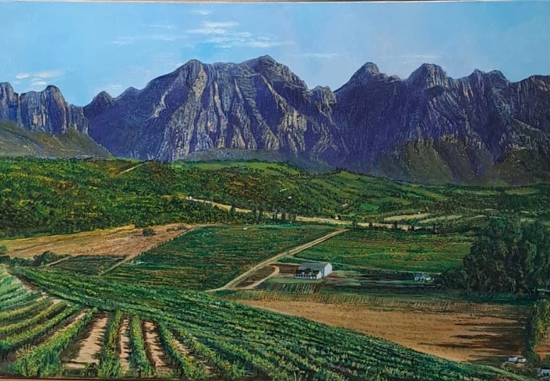 Imbuko Vineyard