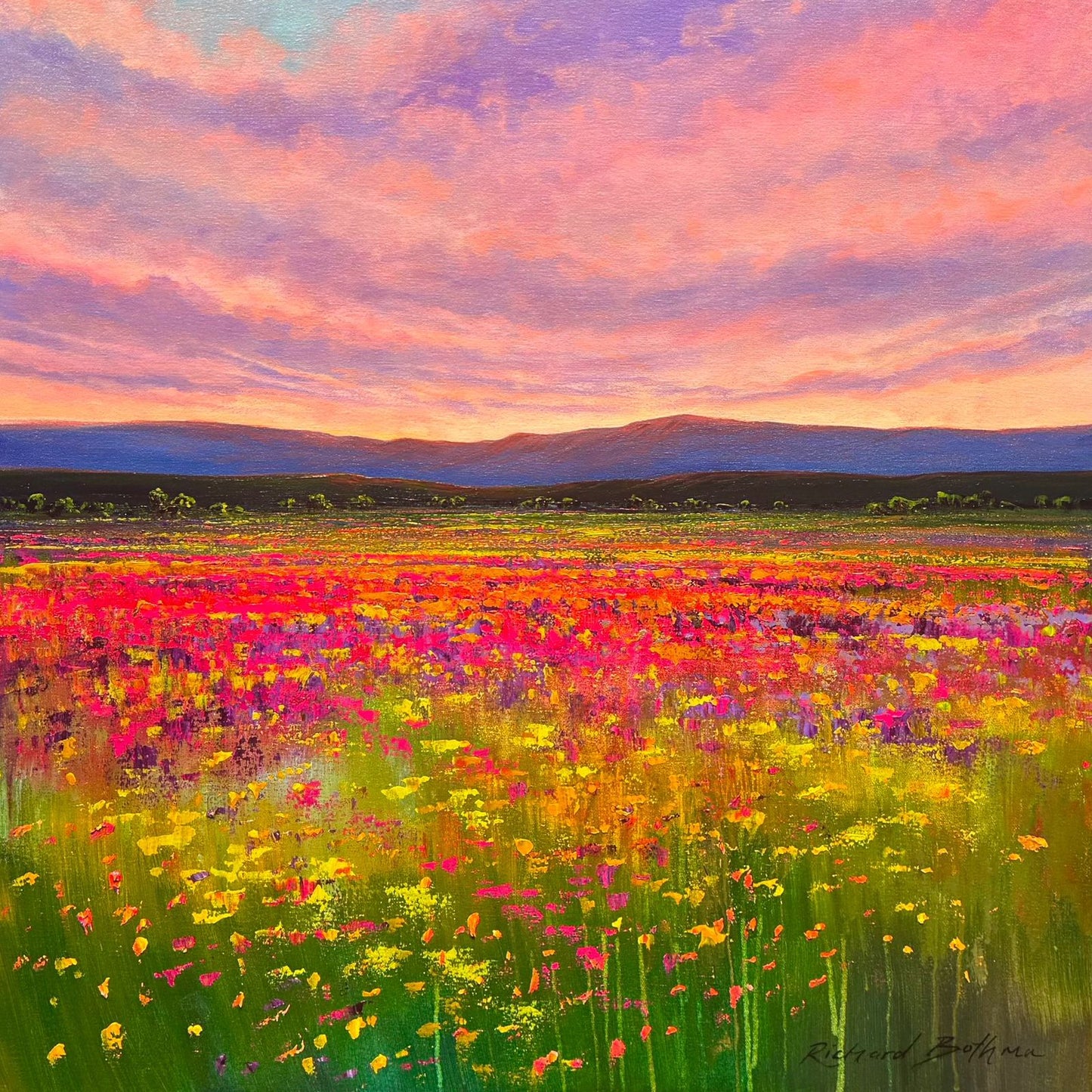Horizon Dreams