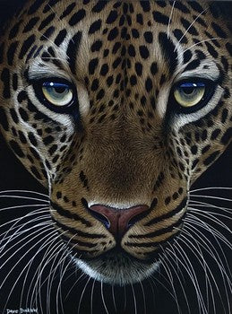 The Leopard