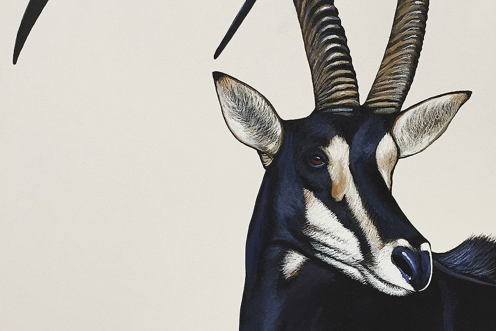 Collecting Wildlife Art | Fine Art Portfolio South Africa