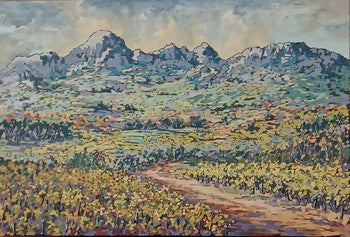 Helderberg Shadows