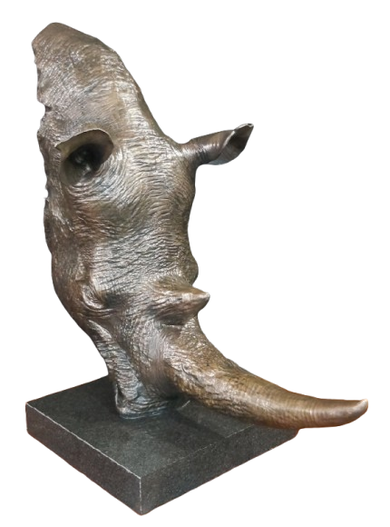 Bronze Rhino Head
