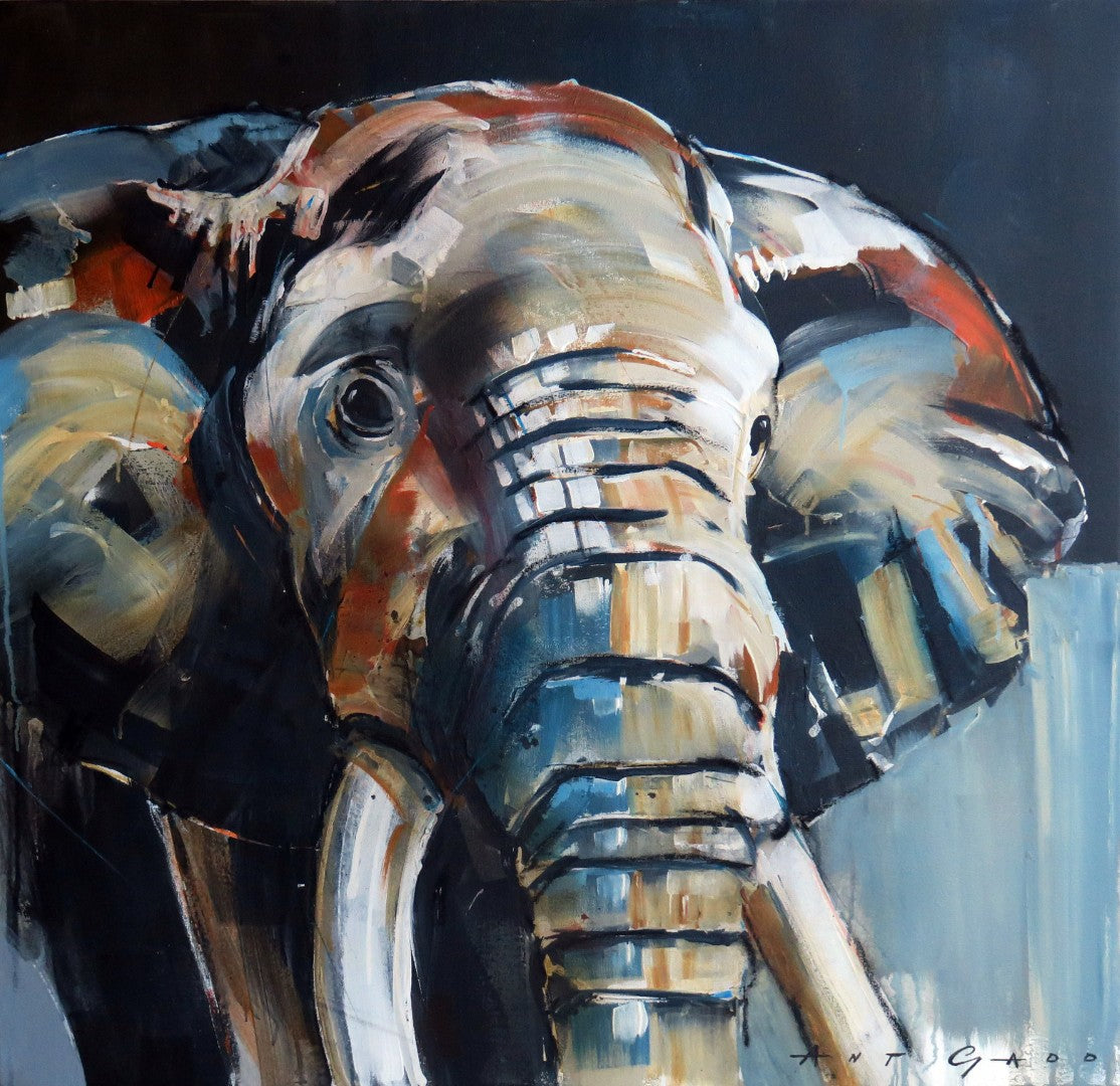 Ivory