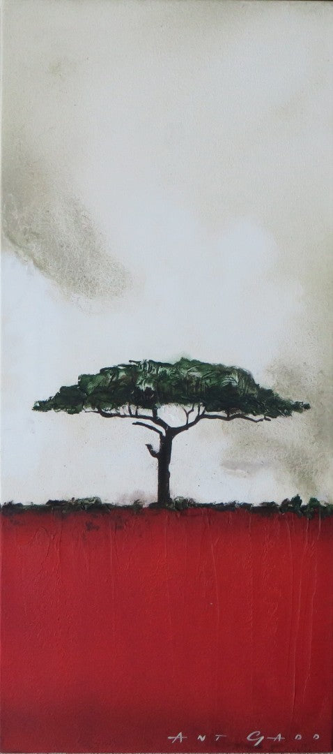 The Mimosas Tree