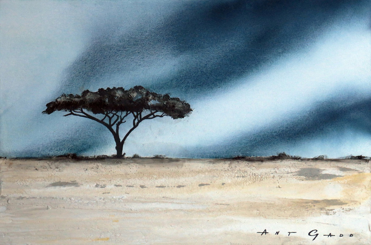Dreaming Etosha