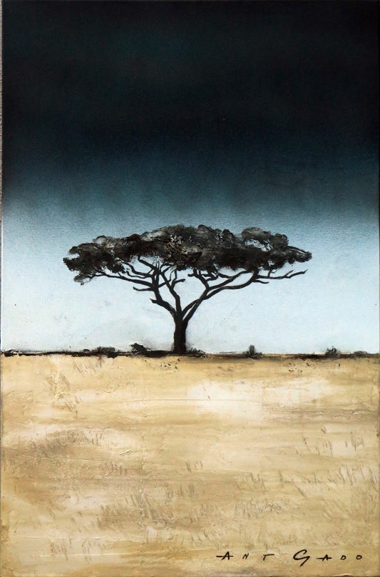 The Dreaming Etosha