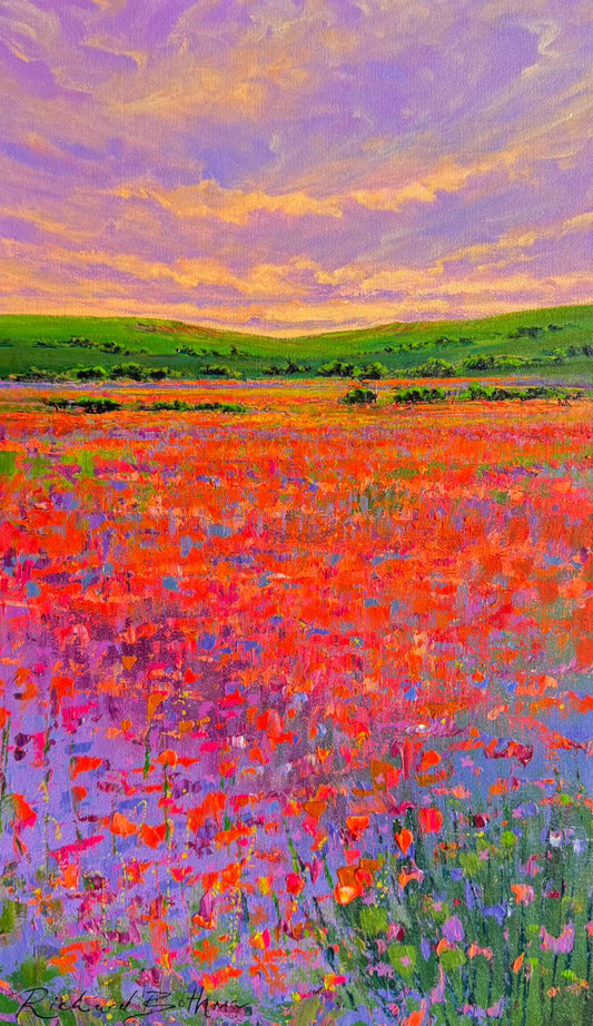 Namaqualand at Sunset