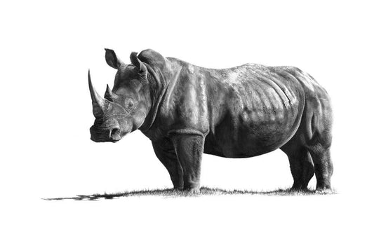 Ndiyikele | Rhino