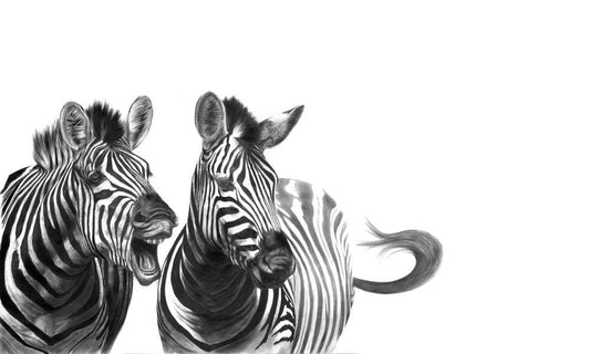 Gift Horse | Zebras