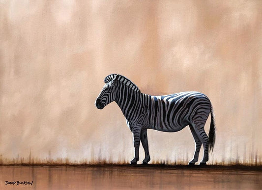 On My Own | Zebra