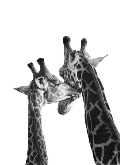 Sweet Nothing | Giraffes