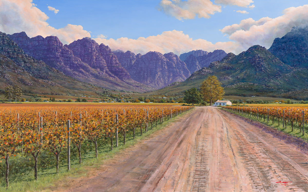 Into the Rawsonville Vineyards