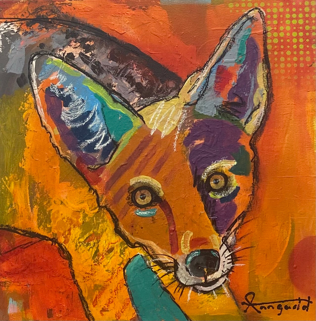 Kgalagadi Jackal Stares