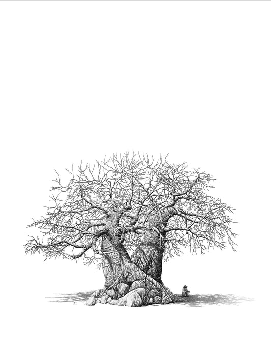 Baobab Tree Print with baboon by artist Bowen Boshier