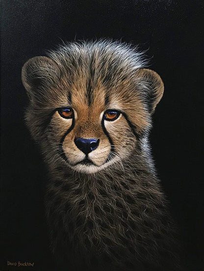 Cheeky the Cheetah Cub | Cheetah