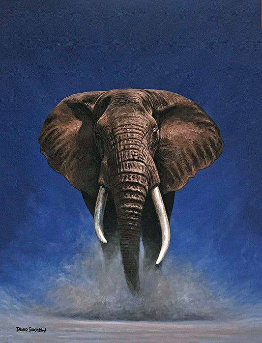Stompy the Elephant | Elephant