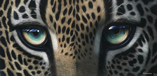 Eyes of Jet | Leopard
