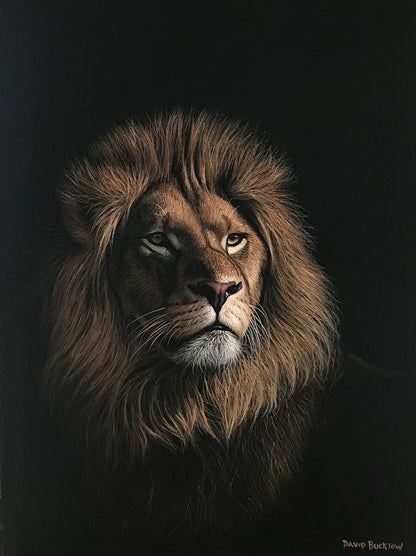 The Lion's Kingdom