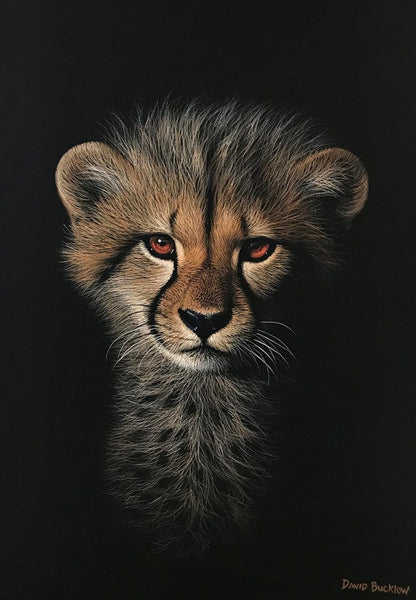 The Watchful Cheetah