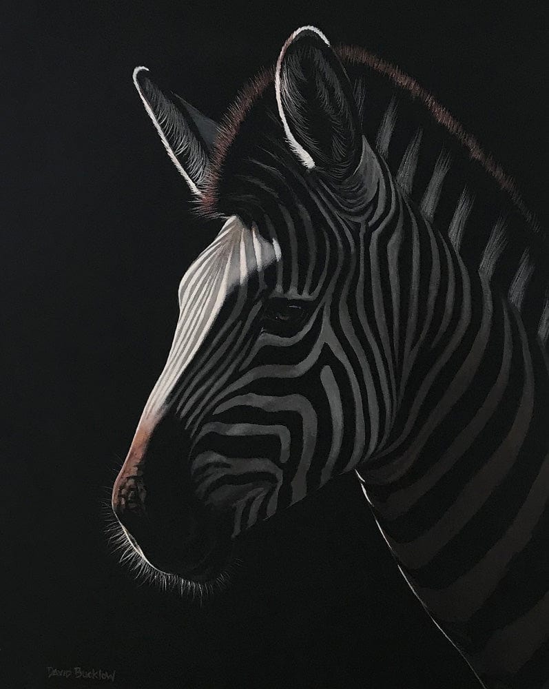 Zebra Power