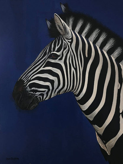 Midnight Zebra