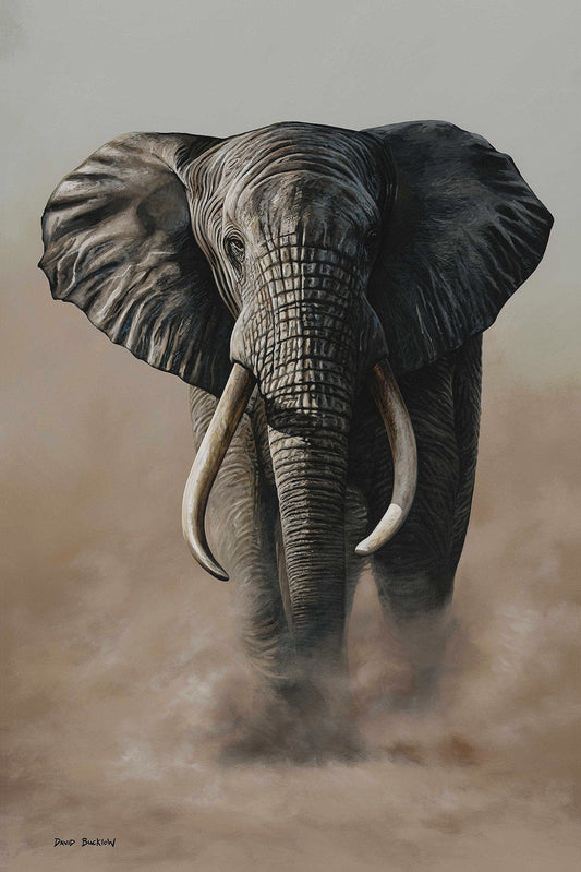 South African Limited Editions by David Bucklow - Madiba - Elephant - Fine Art Portfolio