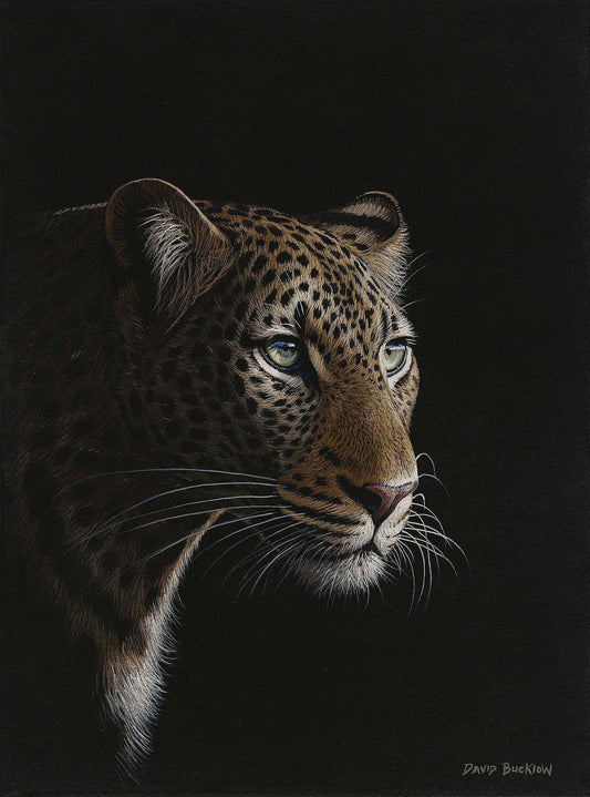 Leopard painting fine art print of a leopard at night entitled Patiently Waiting by David Bucklow artist